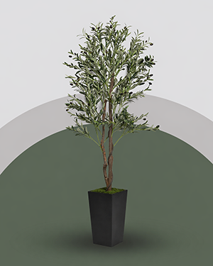 PLANTS