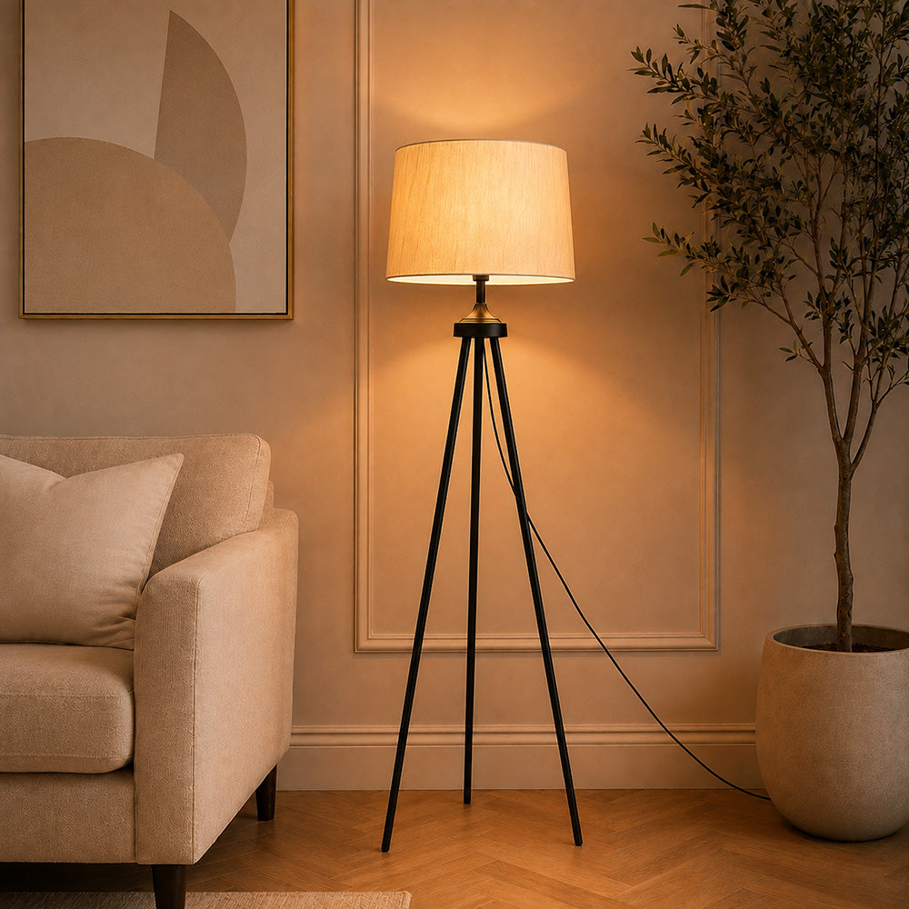 Floor Lamp (FL1006)