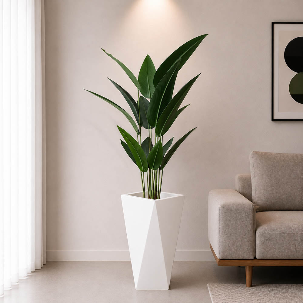Ivory Bird of Paradise Plant (PL1073)