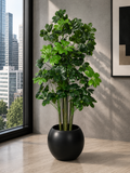 Cheecho Tree (PL1009)