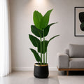 Banana Plant (PL1002)