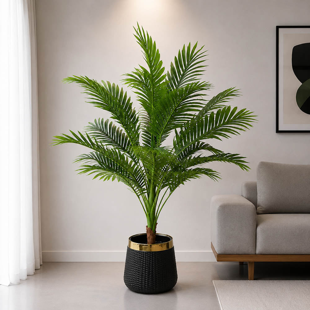 Areca Palm With Planter PL1003
