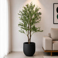 Olive Plant With Planter (PL1008)