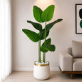 Banana Plant With Planter (PL1009)