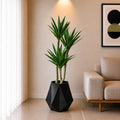 Agave Plant (PL10100) With Planter