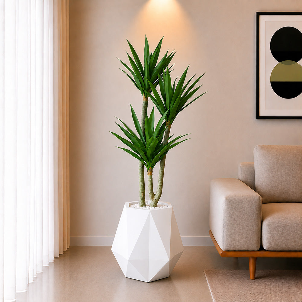 Agave Plant (PL10100) With Planter