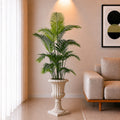 (PL10103) Areca Palm