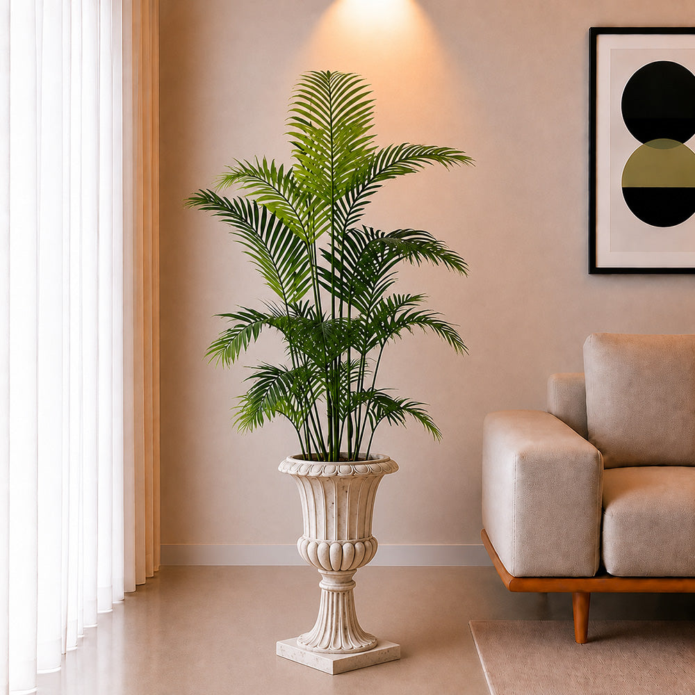 (PL10103) Areca Palm
