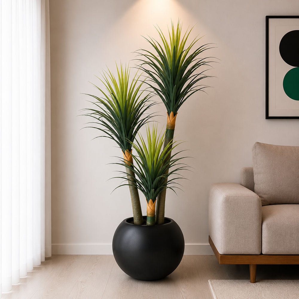 Pineapple Plant (PL1012)
