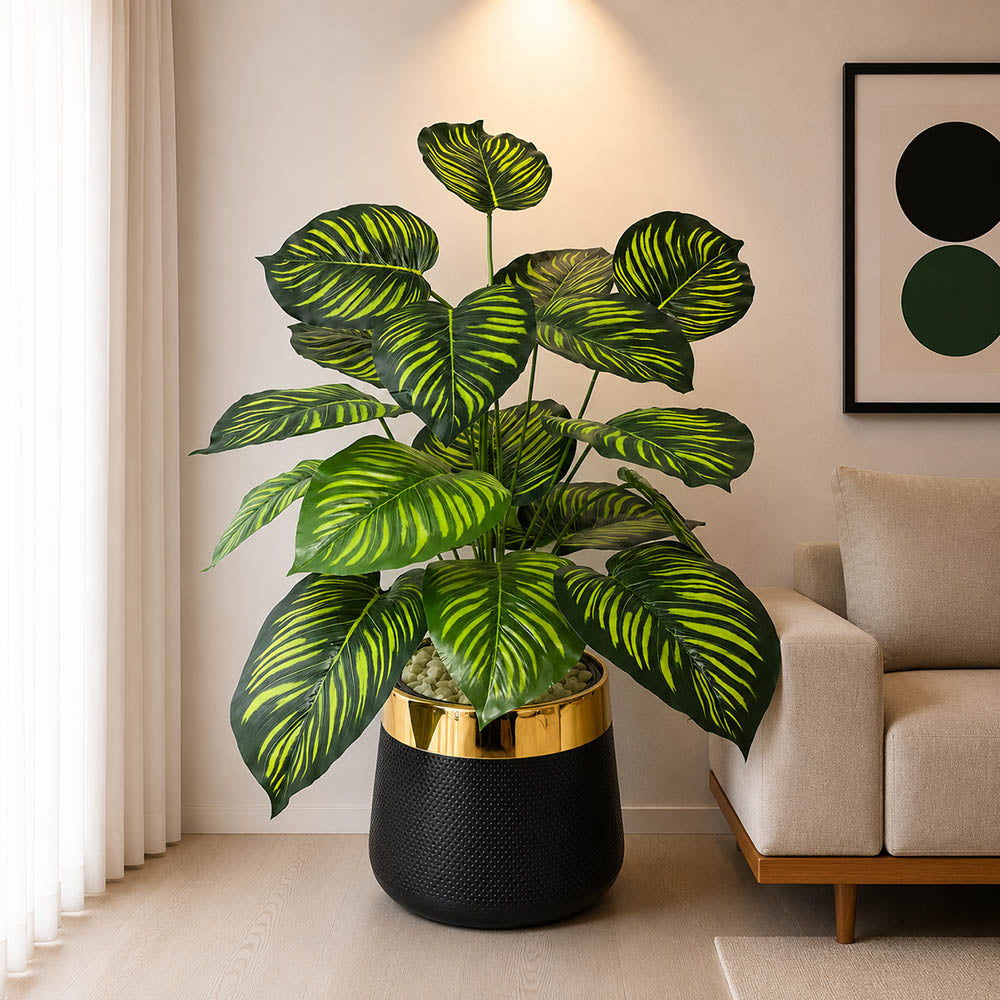 Money Plant (PL1015)