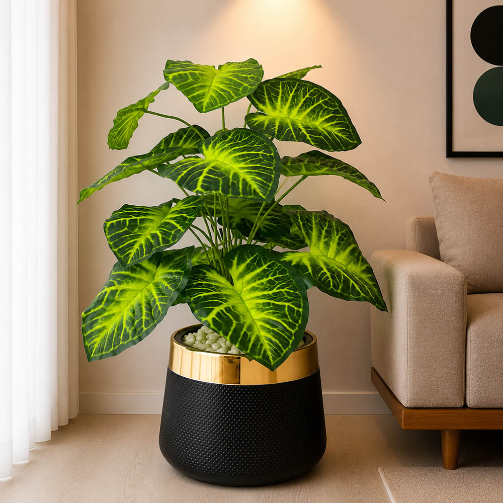 Anthurium Plant With Planter (PL1016)
