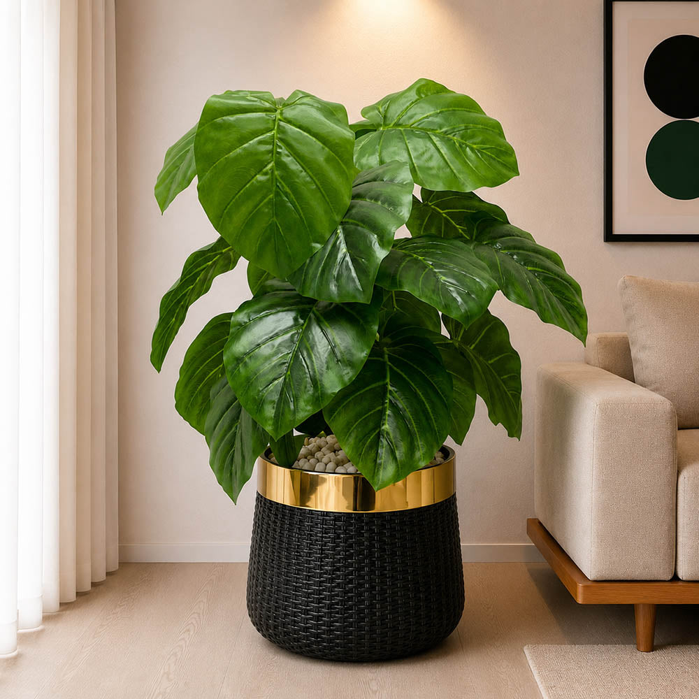 Pothos Plant With Planter (PL1017)