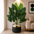 Caladium Plant With Planter (PL1022)