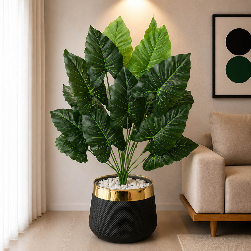 Caladium Plant With Planter (PL1022)