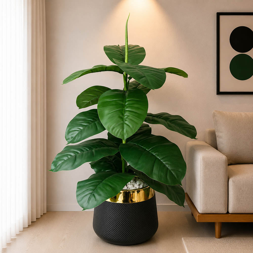 Philodendron Plant With Planter (PL1023)