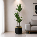Yucca Plant (PL1025)
