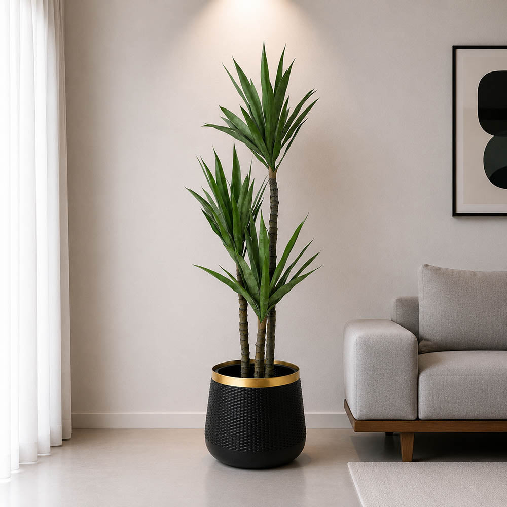 Yucca Plant (PL1025)