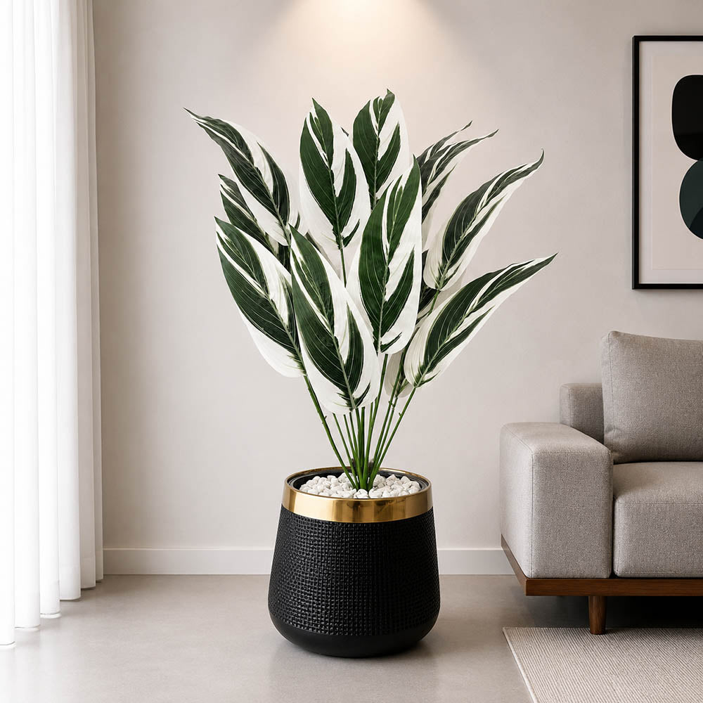 Variegated Tropical Plant (PL1027)