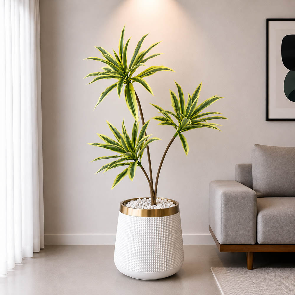 Dracaena Plant With Planter (PL1029)