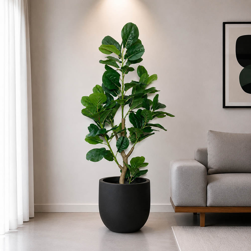 Fiddle Leaf Plant With Planter (PL1030)