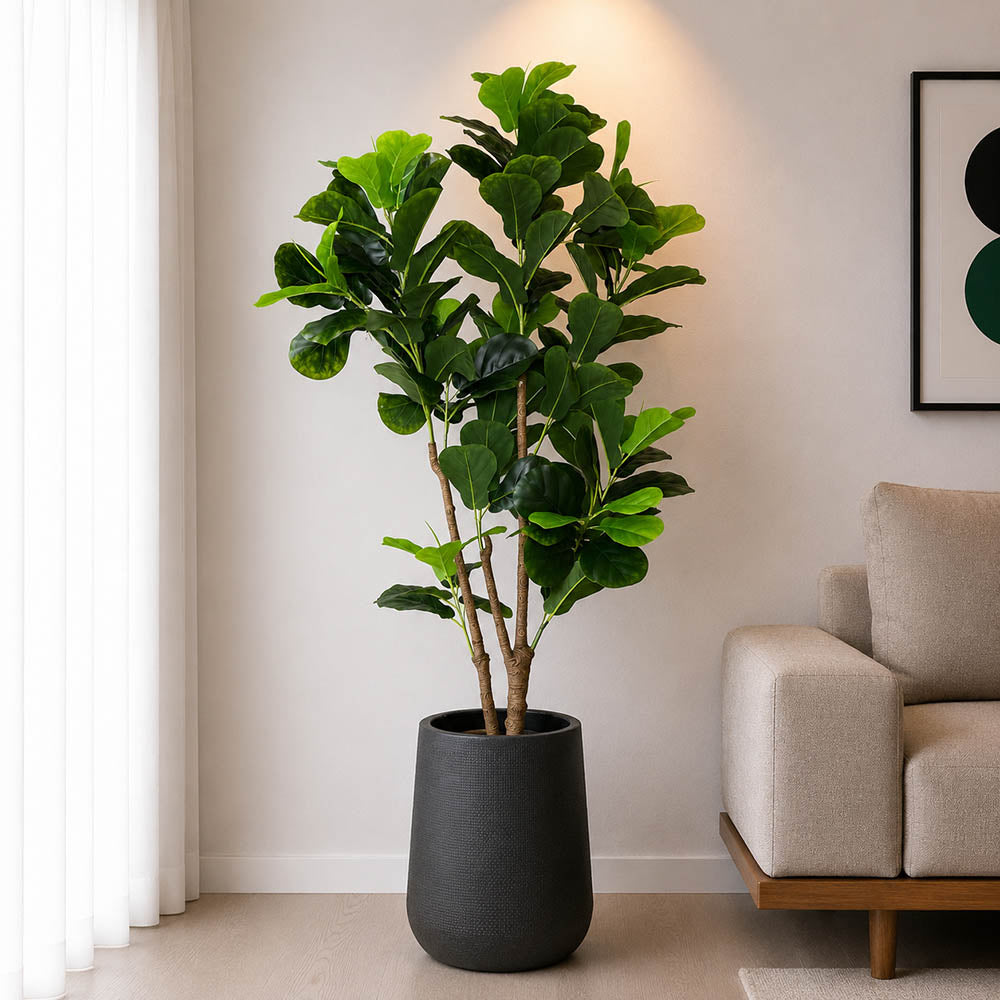 Fiddle Leaf Plant With Planter (PL1039)