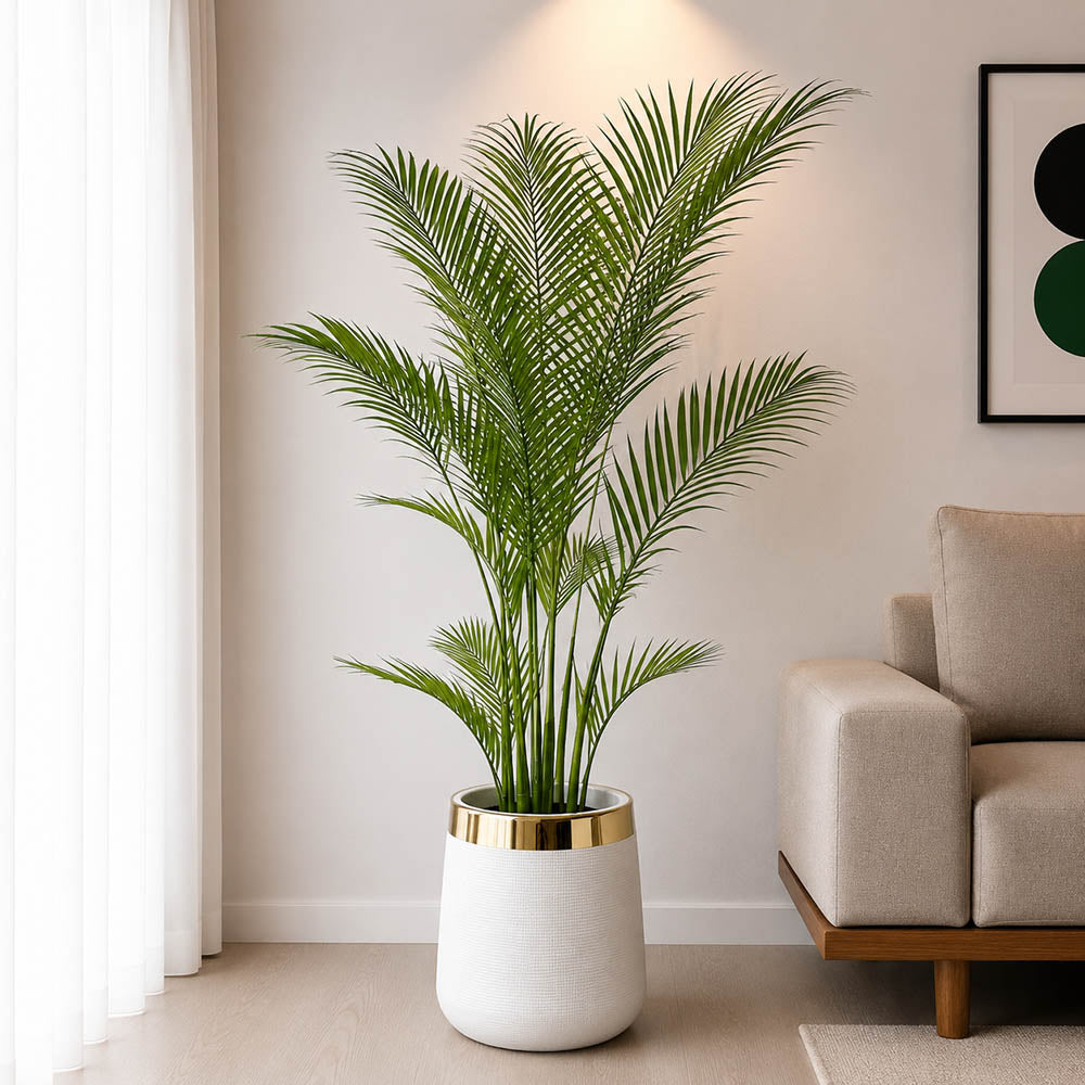 Areca Palm Tree (PL1040)