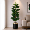 Ficus Lyrata Plant With Planter (PL1042)