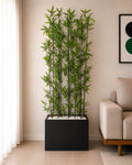 Kiyari With Bamboo Sticks (PL1044)