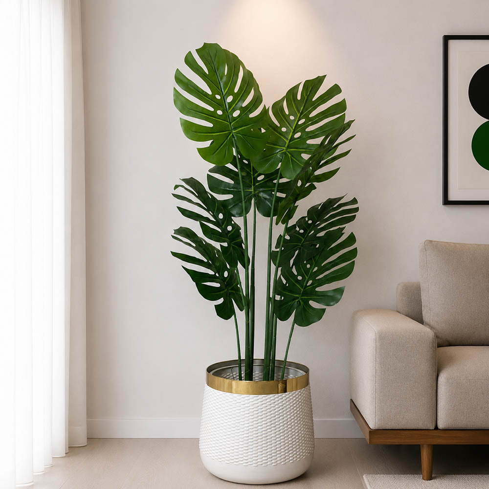 Monstera Plant With Planter (PL1045)