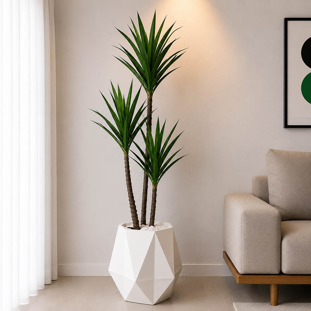 Agave Plant (PL1050)
