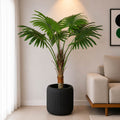Fan Palm Plant (PL1051)