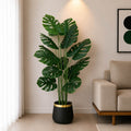 Monstera Plant With Planter (PL1054)