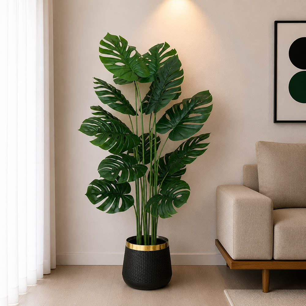 Monstera Plant With Planter (PL1054)