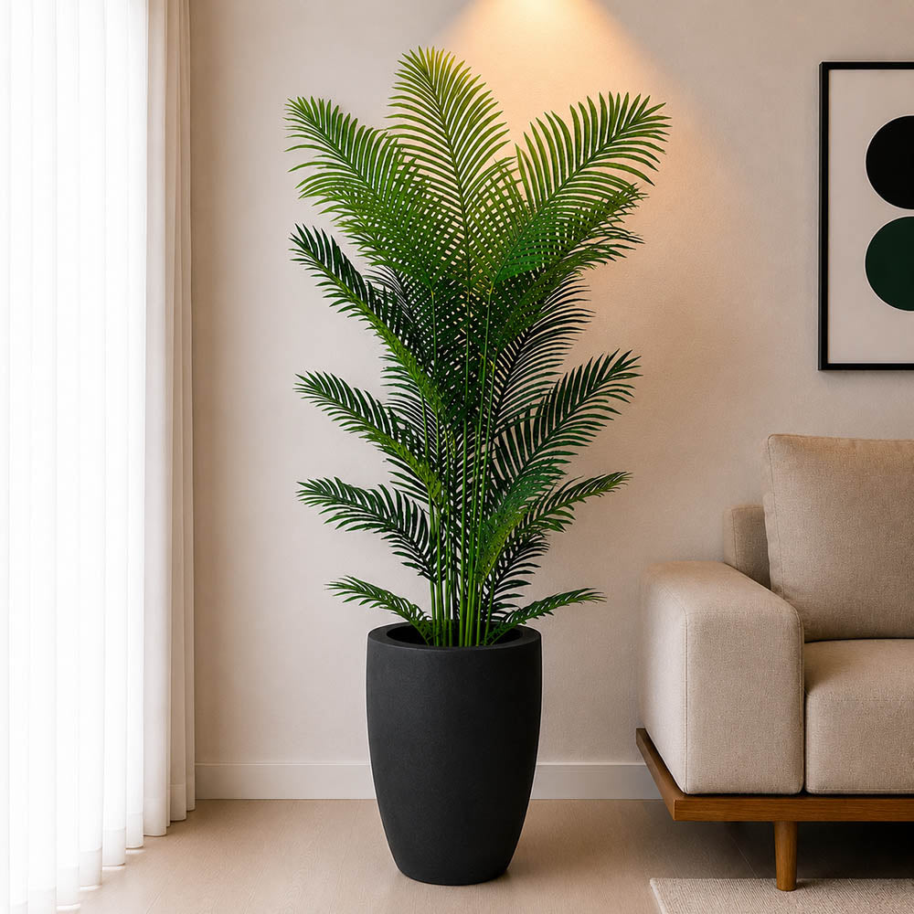 Areca Plant With Planter (PL1055)