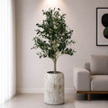 Olive Plant With Planter (PL1058)
