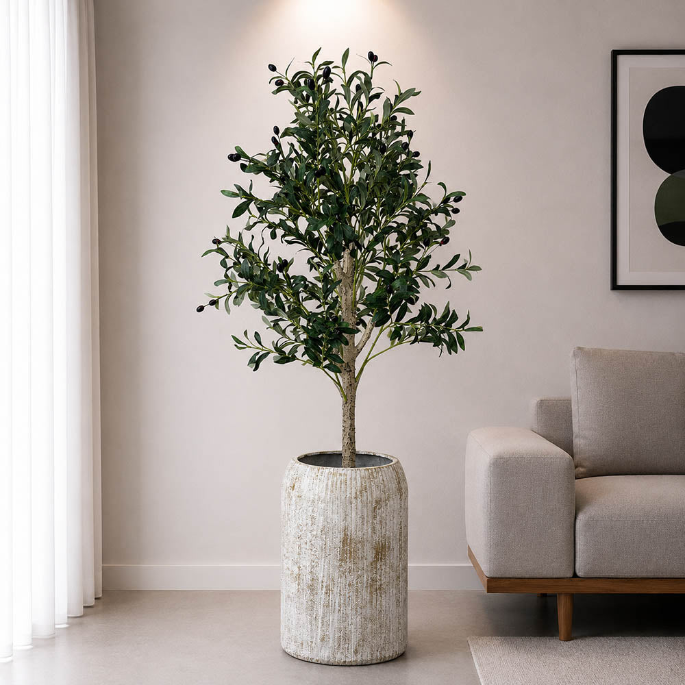 Olive Plant With Planter (PL1058)