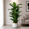 Green Plant With Planter (PL1060)