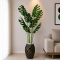Mostera Plant With Planter (PL1061)