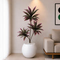 Dracaena Plant With Planter (PL1062)