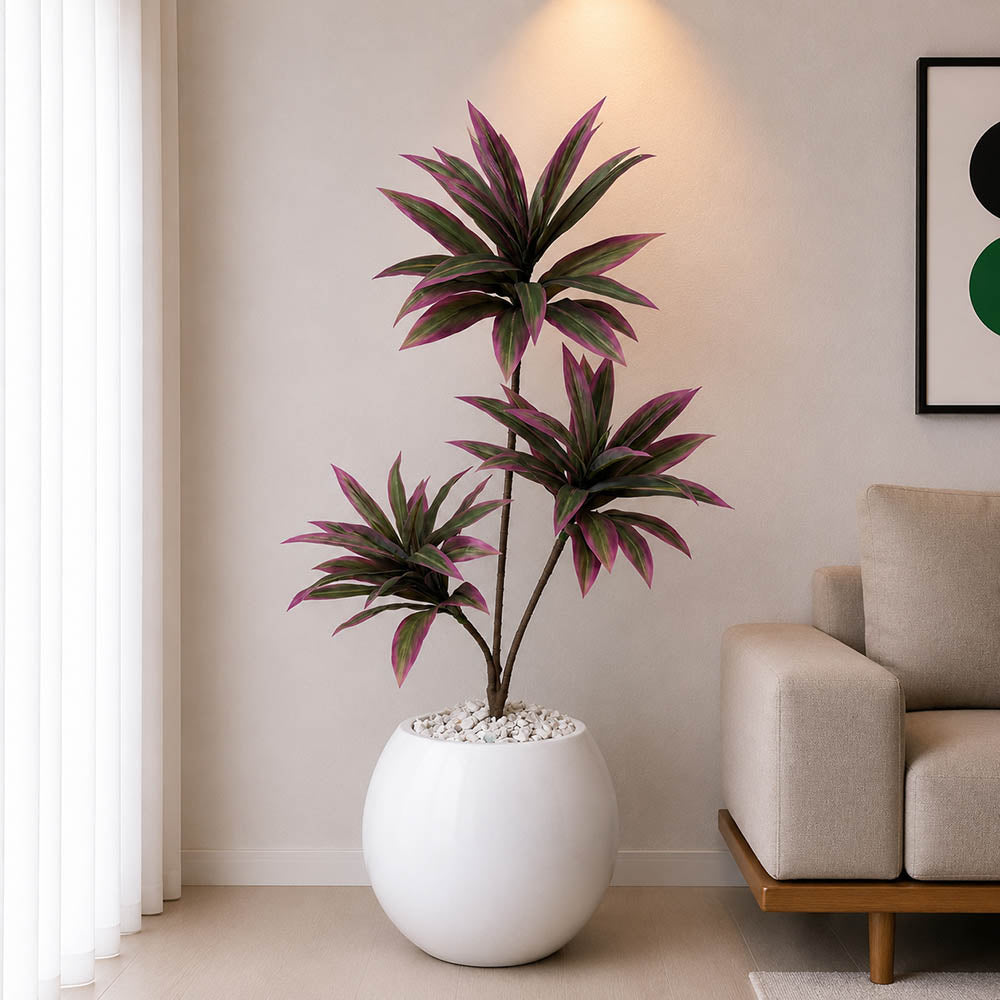Dracaena Plant With Planter (PL1062)