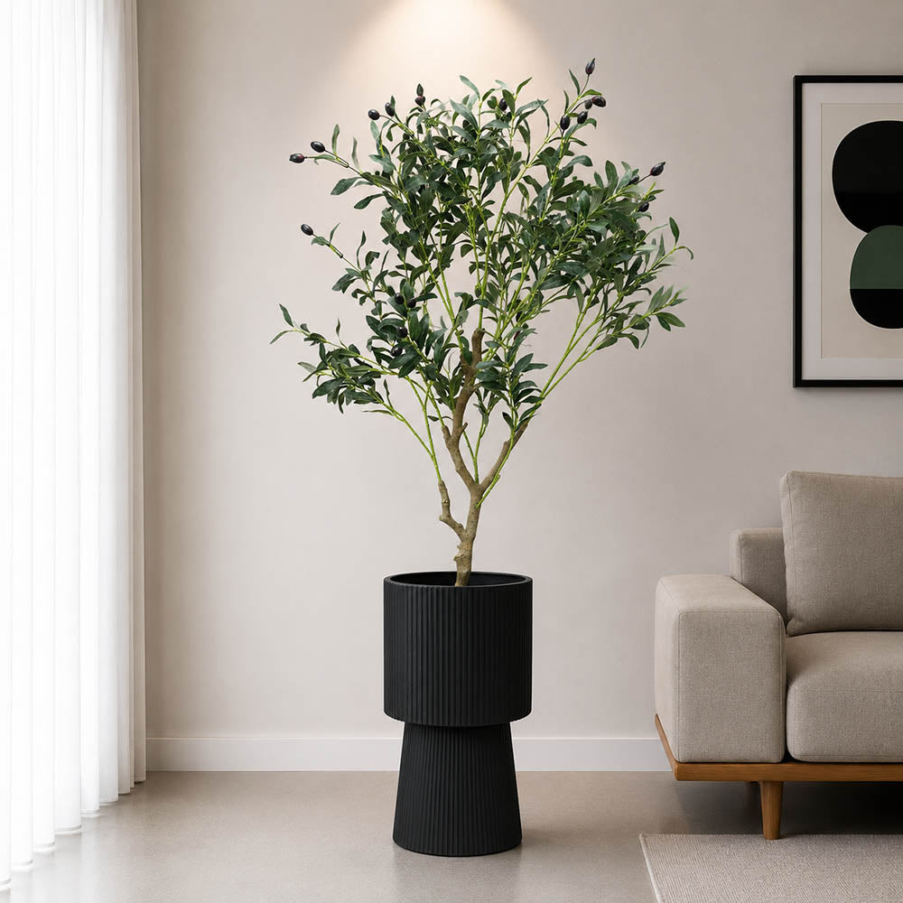 Olive Plant With Planter (PL1063)