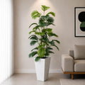 Tropical Palm Plant (PL1065)