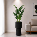 Swiss Cheese Plant With Planter (PL1068