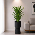 Snake Plant With Planter (PL1069)