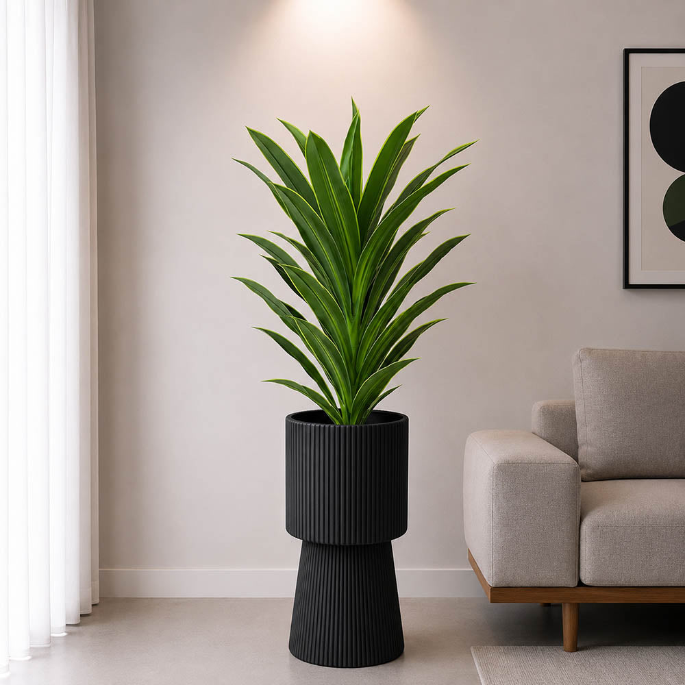 Snake Plant With Planter (PL1069)