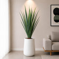 Aloe Vera Plant With Planter (PL1072)