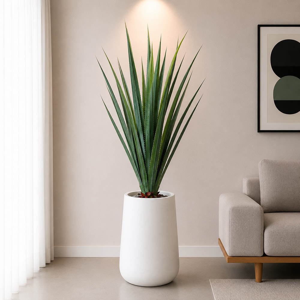Aloe Vera Plant With Planter (PL1072)