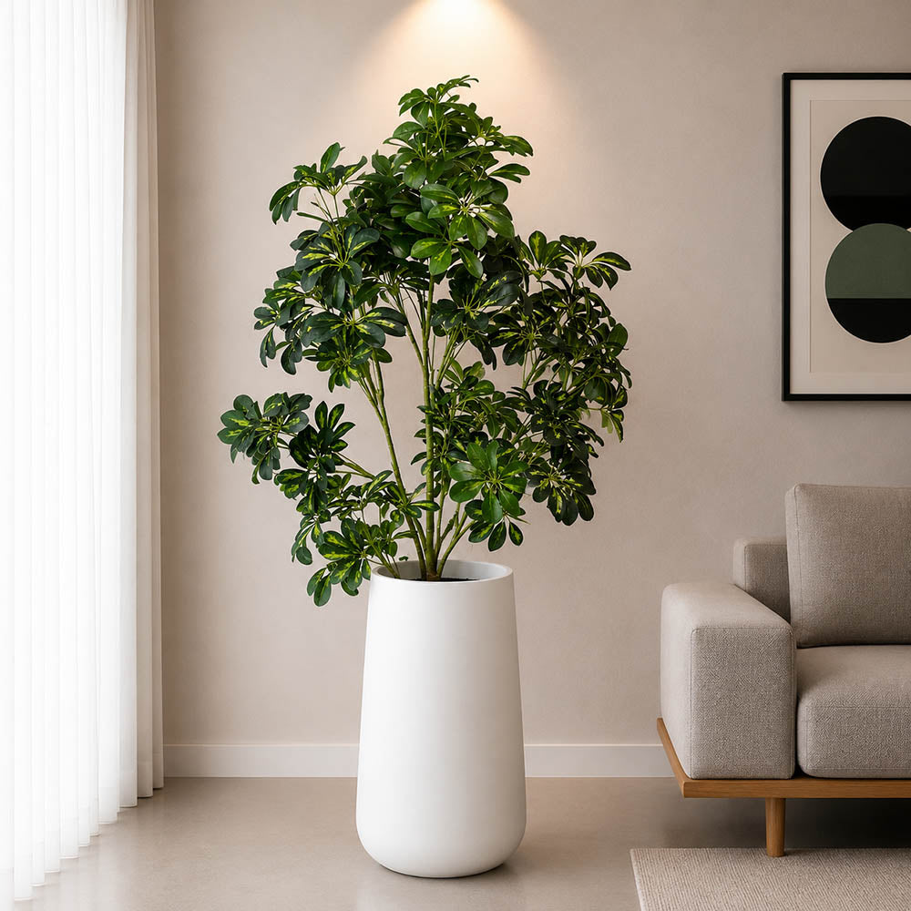Cheecho Plant With Planter(PL1075)