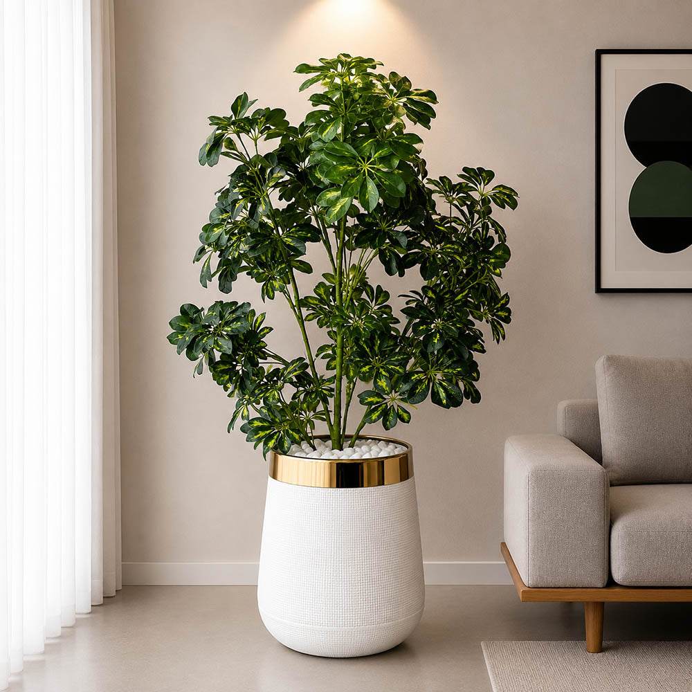 Cheecho Plant With Planter (PL1077)