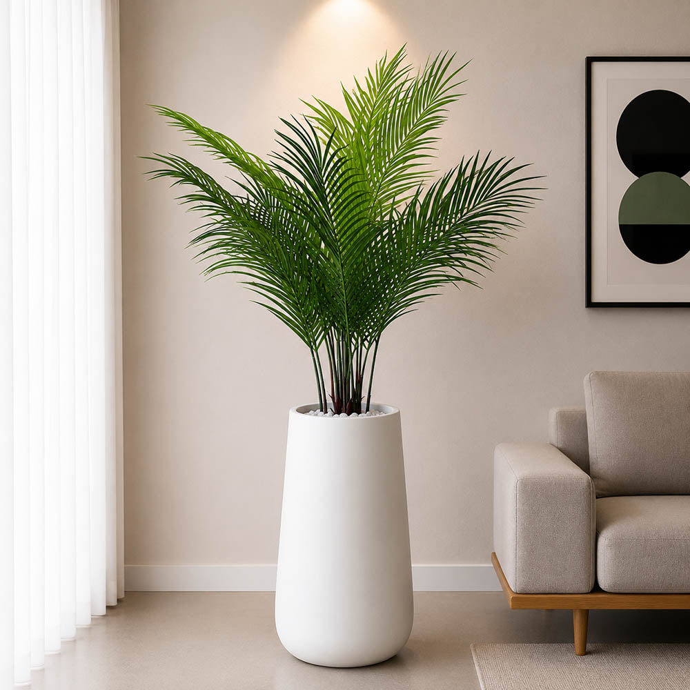 Areca Plant With Planter (PL1078)